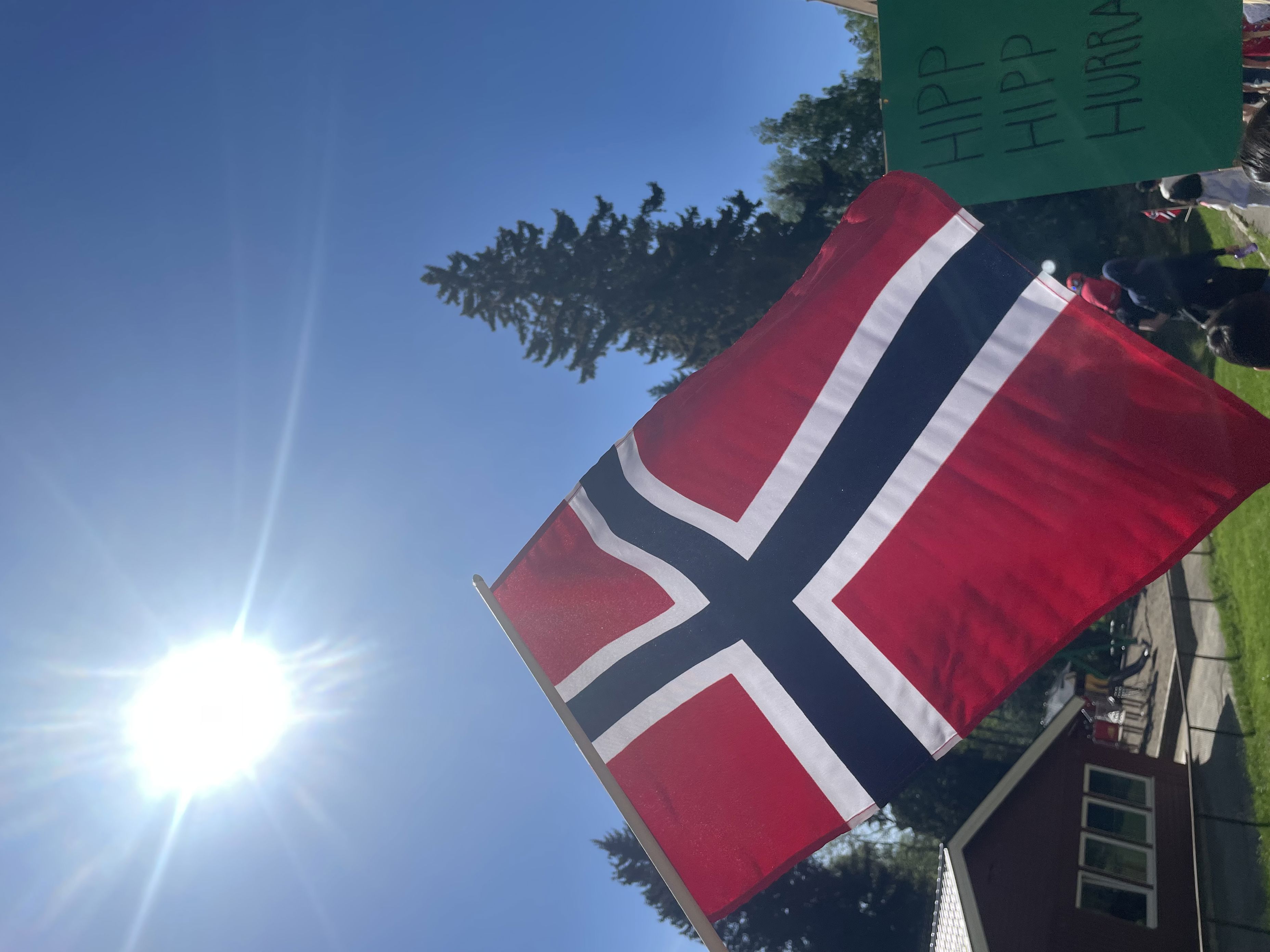 et flagg på en stang