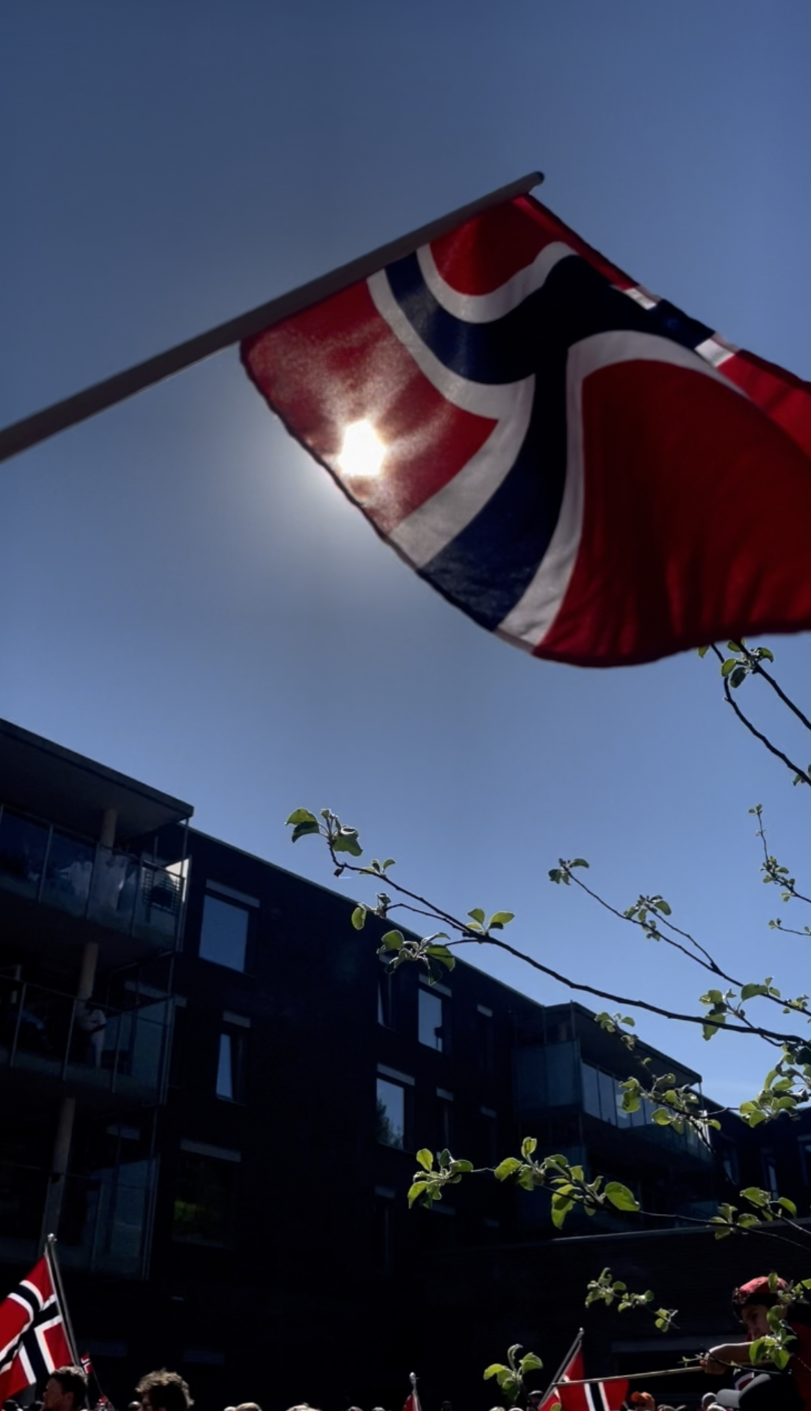et flagg som vaier i luften